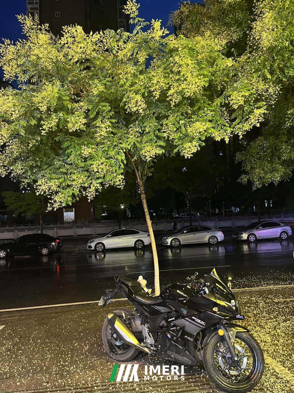 2024 Haojue Suzuki GSX250R