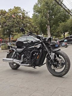 Hyosung GV650 - ფოტო 3