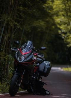 MV Agusta Turismo Veloce 800 - фото 2
