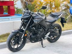 Yamaha MT-03 320 cc - ფოტო 5
