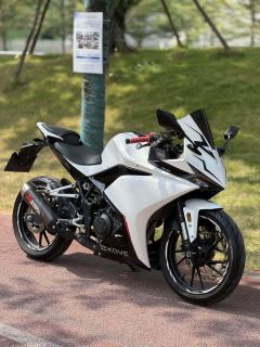 Kayo 250RR Thornbird - photo 1