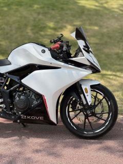 Kayo 250RR Thornbird - photo 3