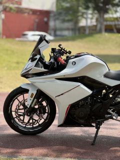 Kayo 250RR Thornbird - photo 5