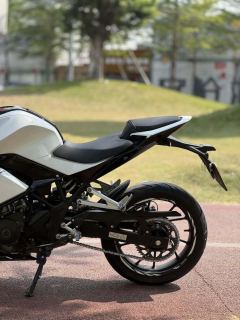 Kayo 250RR Thornbird - photo 6