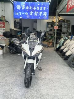 QJMOTOR SRK 250 - photo 4