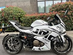 QJMOTOR SRK 250 - ფოტო 1