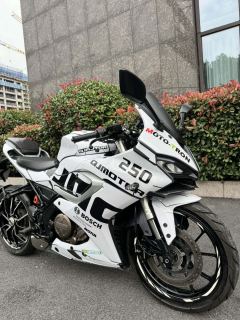QJMOTOR SRK 250 - ფოტო 2
