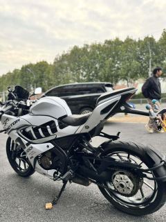 QJMOTOR SRK 250 - ფოტო 5