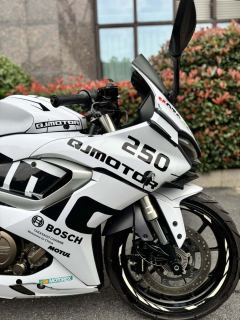 QJMOTOR SRK 250 - ფოტო 7