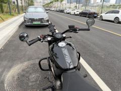 Benda Chinchilla 450 - photo 6