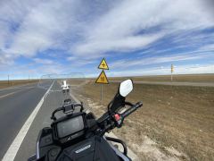 Honda NX500 - фото 3