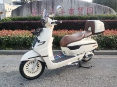 Nanfang Mona Lisa Feige 250 cc - ფოტო 1