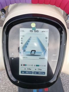 Nanfang Mona Lisa Feige 250 cc - ფოტო 10