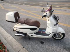 Nanfang Mona Lisa Feige 250 cc - ფოტო 4