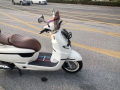 Nanfang Mona Lisa Feige 250 cc - ფოტო 6