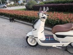 Nanfang Mona Lisa Feige 250 cc - ფოტო 7