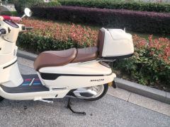 Nanfang Mona Lisa Feige 250 cc - ფოტო 8
