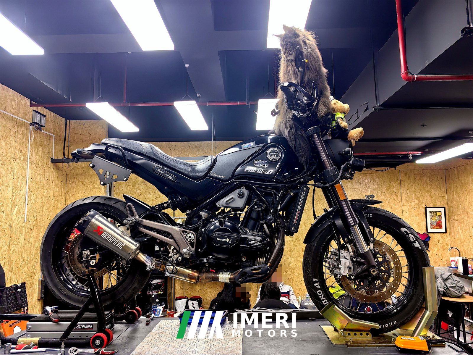 2018 Benelli Leoncino 500