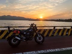 Benelli Leoncino 500 - photo 3