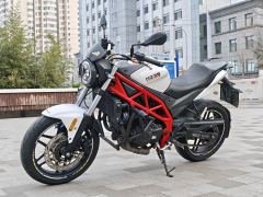 Cyclone RZ3S 380 cc - ფოტო 5