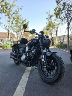 Benda Chinchilla 450 - photo 1