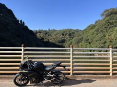 Kayo 250RR Thornbird - ფოტო 1