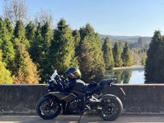 Kayo 250RR Thornbird - ფოტო 2
