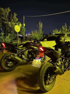 Kayo 250RR Thornbird - ფოტო 3