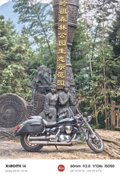 Lifan V16 250 cc - photo 3