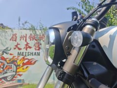 QJMOTOR Flash 300 - photo 7