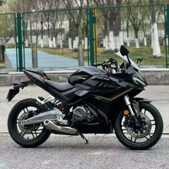 Cyclone RC401 400 cc - фото 3