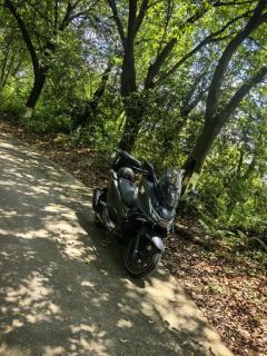 Sundiro Honda NS150GX - ფოტო 2