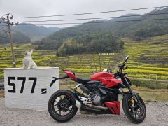 Ducati Street Fighter V2 950 cc - ფოტო 3