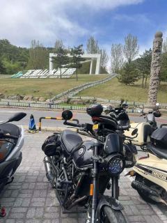Benelli Leoncino 500 - photo 1