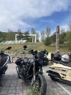 Benelli Leoncino 500 - photo 2