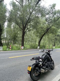 Benelli Leoncino 500 - photo 4