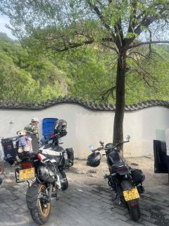 Benelli Leoncino 500 - photo 6
