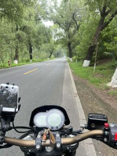 Benelli Leoncino 500 - photo 7