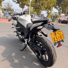 QJMOTOR SRK 550 - photo 4