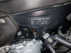 Voge DS900X - фото 5