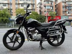 Sundiro Honda 150 - фото 1