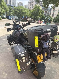 Benelli TRK552 550 cc - ფოტო 2