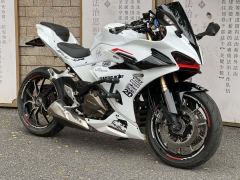 QJMOTOR SRK 450 - фото 1