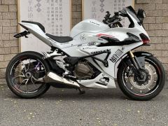 QJMOTOR SRK 450 - фото 2