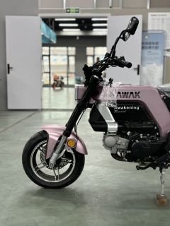AKMOTOR AK11 125 cc - ფოტო 8