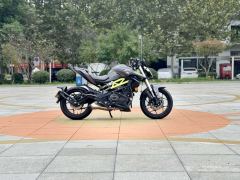 QJMOTOR Chase 350 - ფოტო 6
