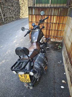 Cyclone RA2 250 cc - ფოტო 2