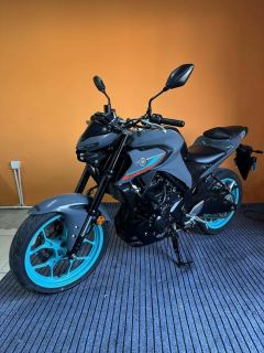 Yamaha MT-03 320 cc - ფოტო 2