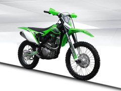 Xinguizun 250 -F - ფოტო 3