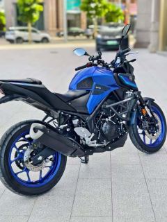 Yamaha MT-03 320 cc - ფოტო 2